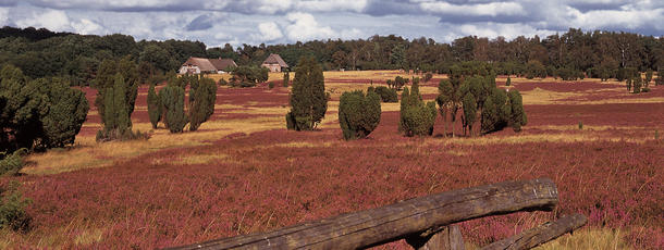 Kulturlandschaft Lüneburger Heide