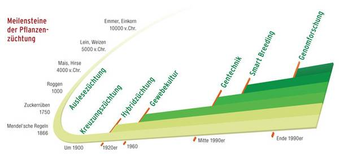 Meilensteine der Züchtung