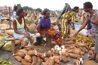 Cassava-Markt in Afrika