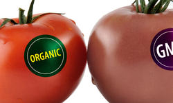 Tomaten mit Kennzeichnung