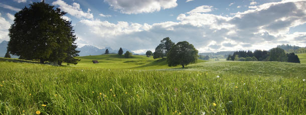 Landschaft in Bayern