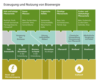 Erzeugung Bioeenergie