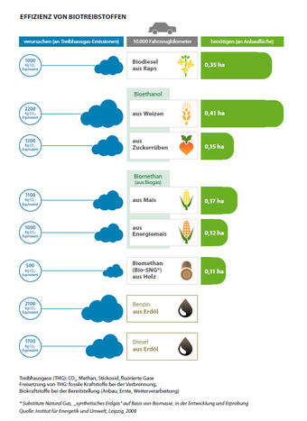 Grafik: Effizienz Biotreibstoffe