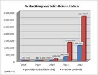 Verbreitung von Swarna-Sub1-Reis in Indien