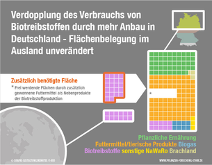 Szenario: Mehr Pflanzen für Biotreibstoffe