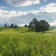 Landschaft in Bayern